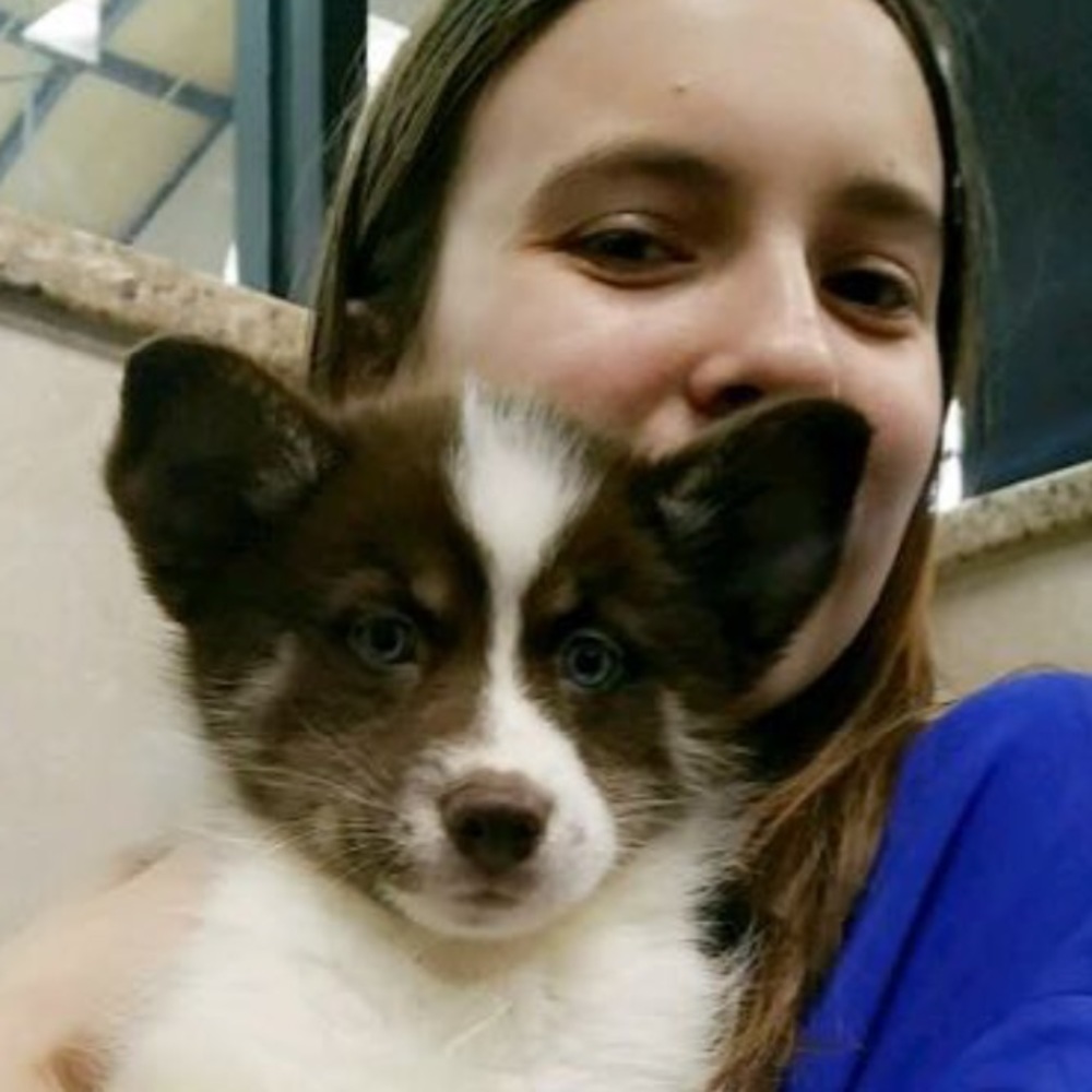 Meet your Posher, Avery